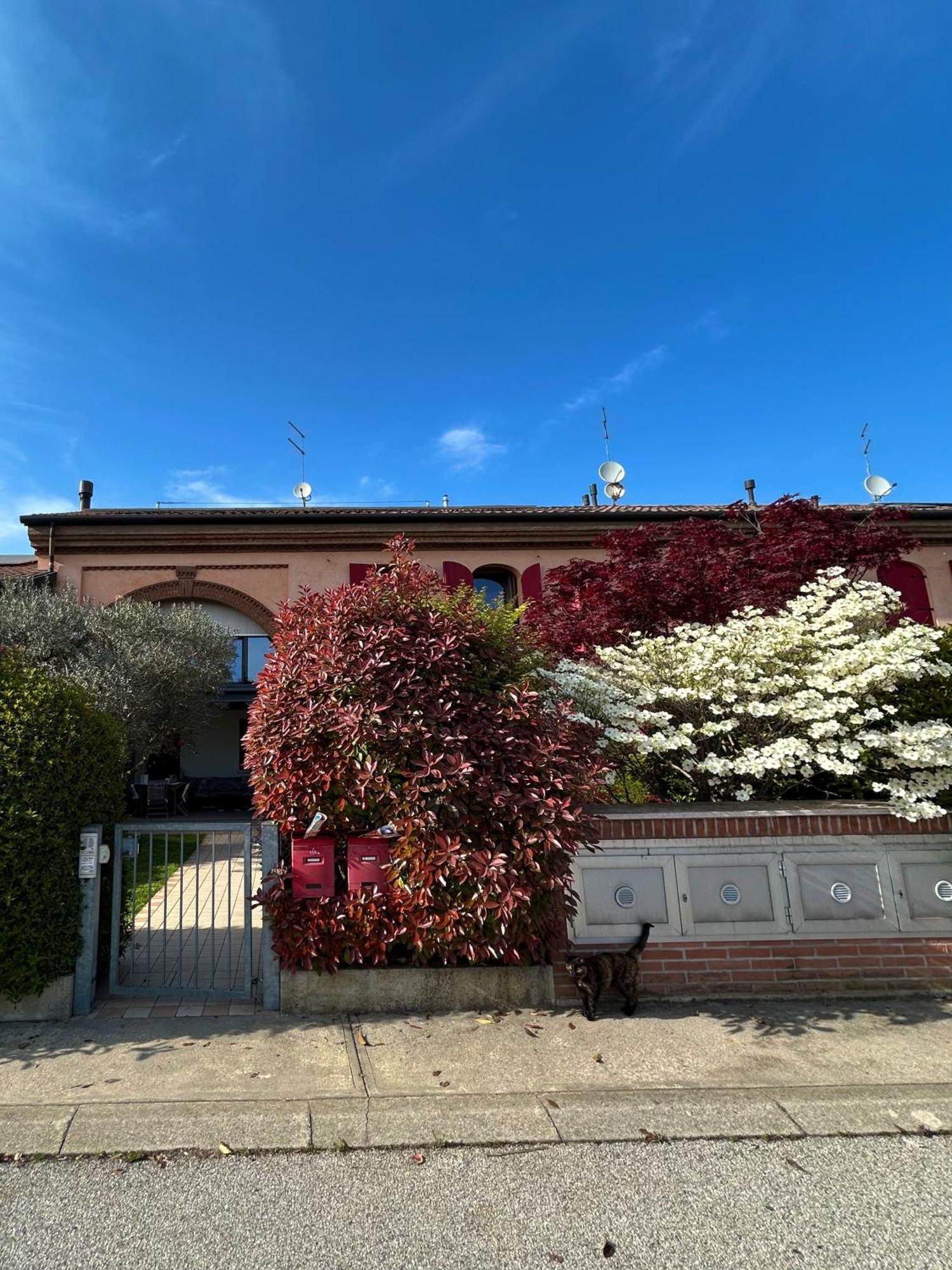 Soranza Suite Castelfranco Veneto Exteriör bild